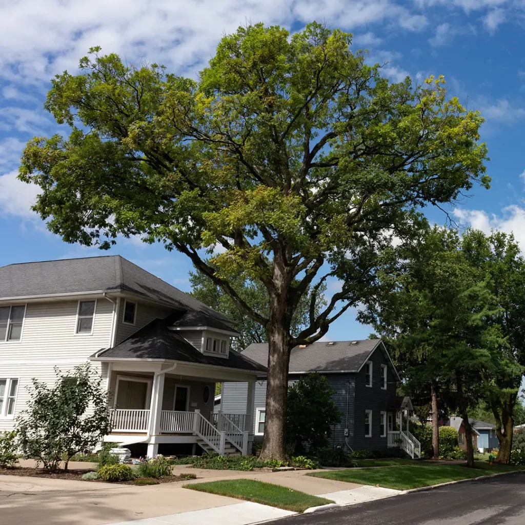 sell my house fast St. Louis MO cash offer