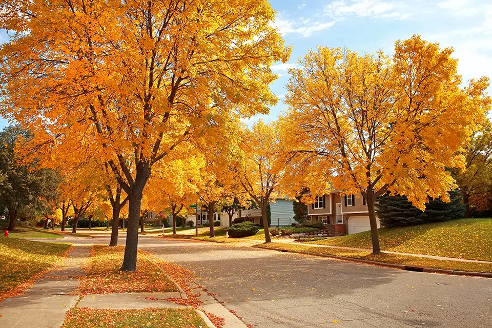 Fast and simple cash home sales in Fairview Heights, Illinois.